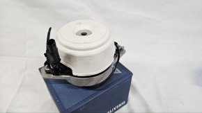 photo_2025-02-20_16-48-17