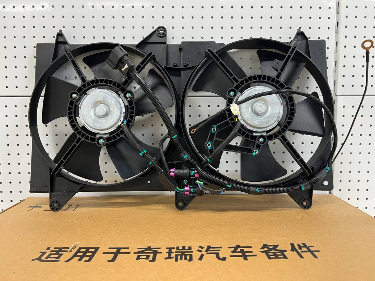 photo_2024-09-23_13-33-55