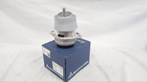 photo_2025-03-23_07-54-04