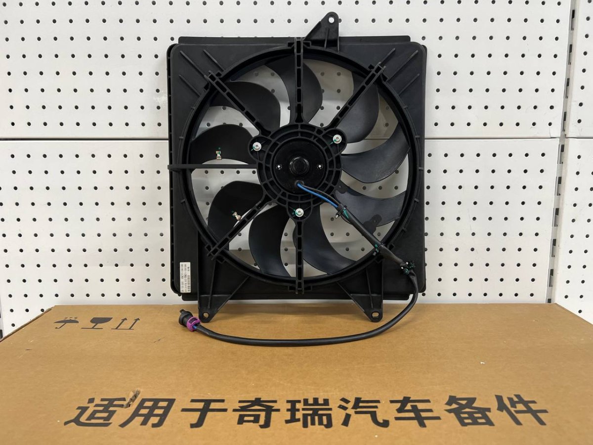 photo_2024-09-23_11-54-13