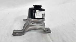 photo_2025-02-20_16-52-28