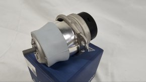 photo_2025-02-20_16-47-31