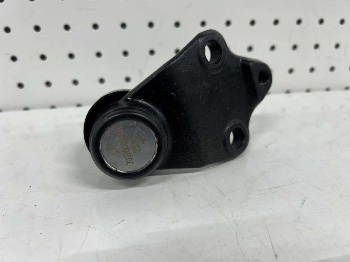 202000050AA-202002384A-2